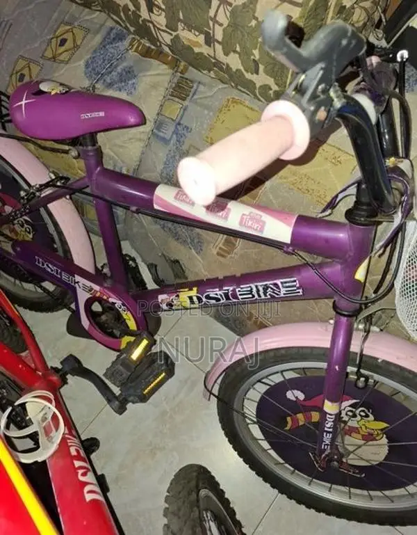 DSI Bicycle