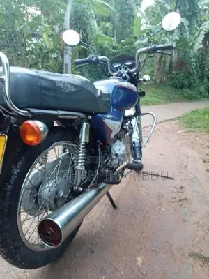 Bajaj Pulsar NS200 2005