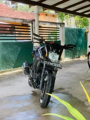 Yamaha FZ S Anniversary Model 2019
