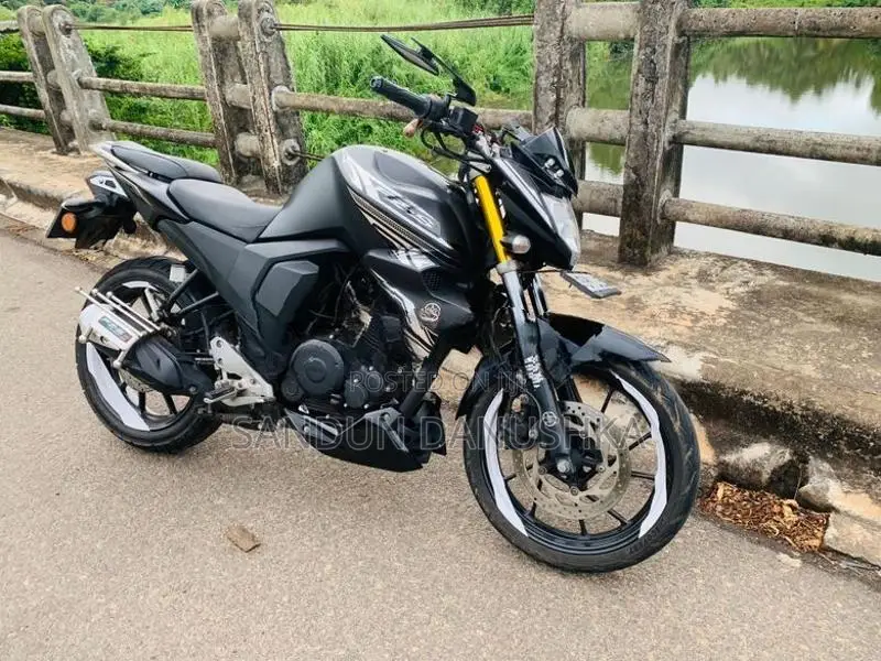Yamaha FZ S Anniversary Model 2019