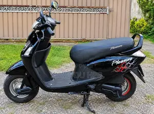 Hero Pleasure 2009