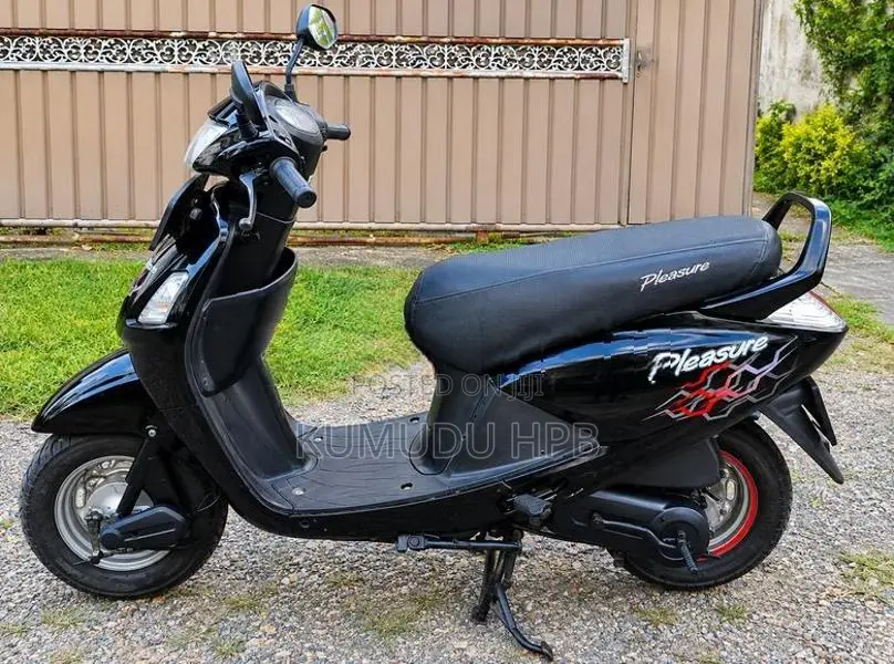 Hero Pleasure 2009