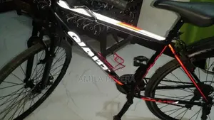 Giant - Japan Mountain Bicycle