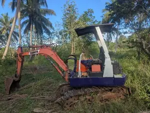 Kubota 30