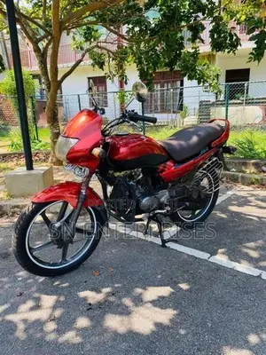 Hero Passion Plus 2007