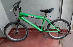 Dsi Bicycle 20 Size