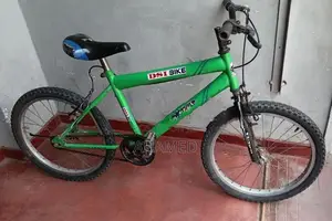 Dsi Bicycle 20 Size