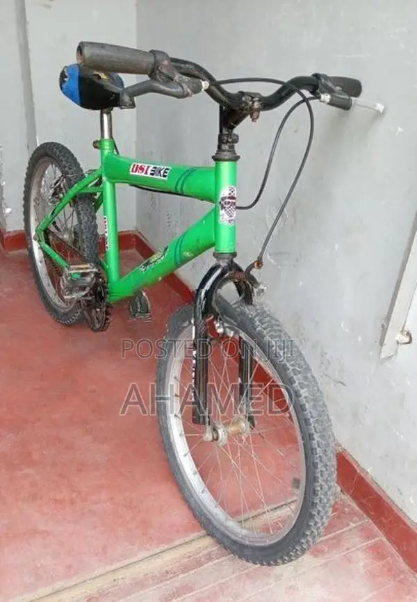 Dsi Bicycle 20 Size