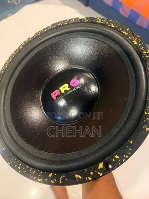Car Subwoofer Dual 12” Speakers