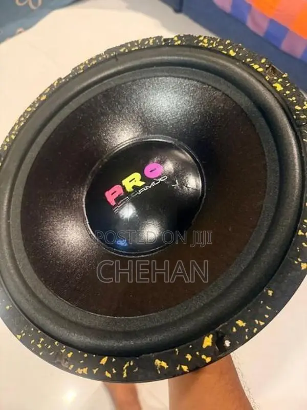 Car Subwoofer Dual 12” Speakers