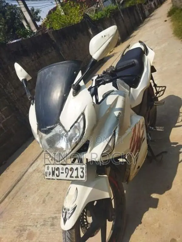 Hero Karizma 2010