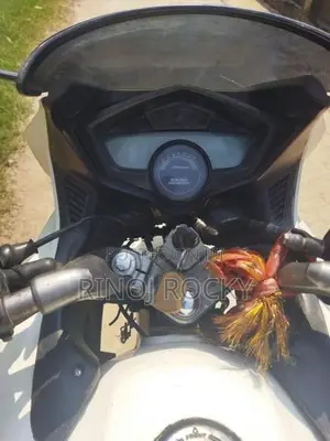 Hero Karizma 2010