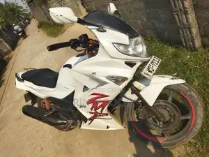 Hero Karizma 2010