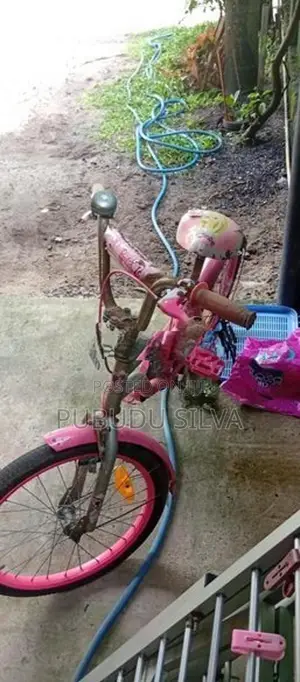 Mid Age Bicycle