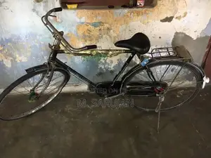 Lumala Gents Bicycle