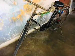 Lumala Gents Bicycle