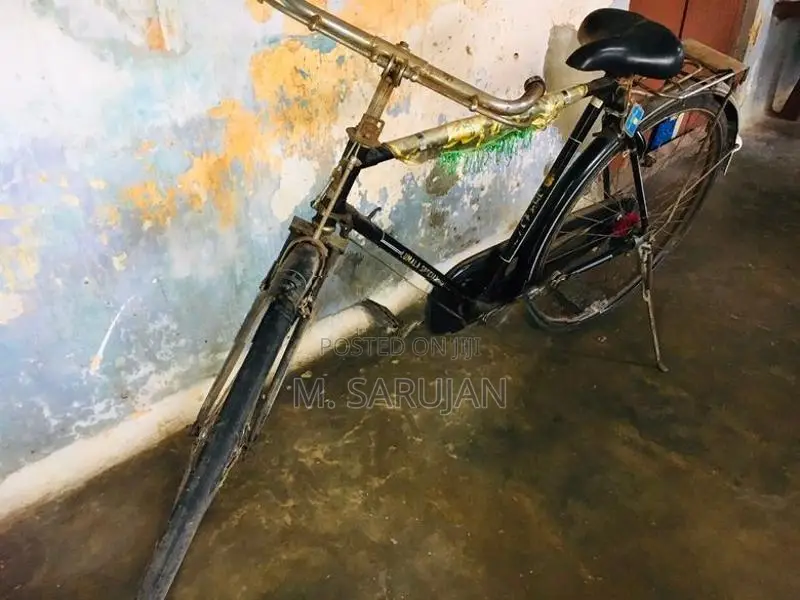 Lumala Gents Bicycle