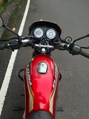 Bajaj Platina 100 2015