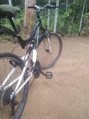 Lumala Bicycle