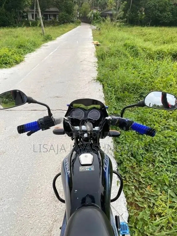 Bajaj Platina 125 2012