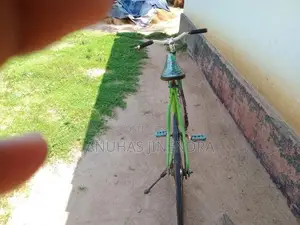 Racing Bicycle