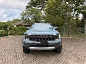 Ford Raptor 2025 Pickup (Used)