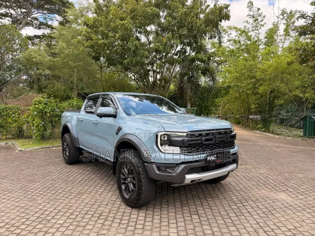 Ford Raptor 2025 Pickup (Used)