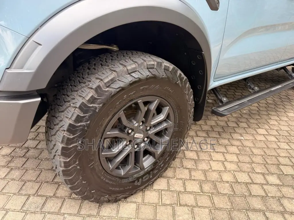 Ford Raptor 2025 Pickup (Used)