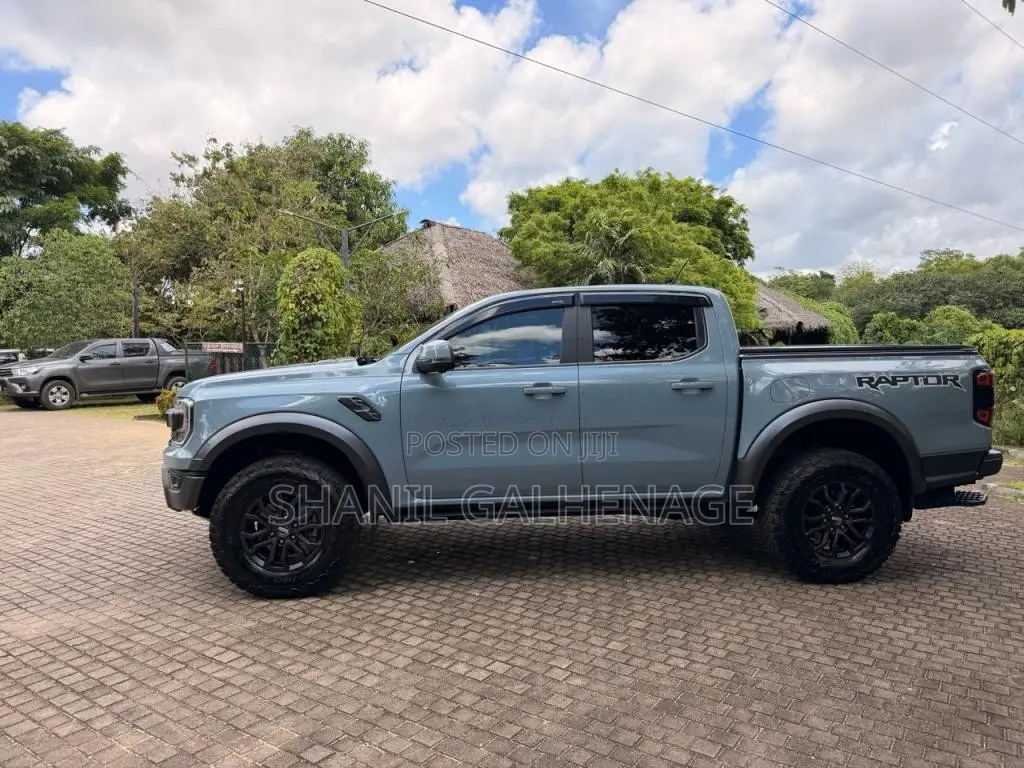 Ford Raptor 2025 Pickup (Used)