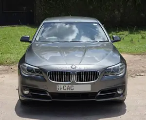 BMW 520D 2014 Car (Used)