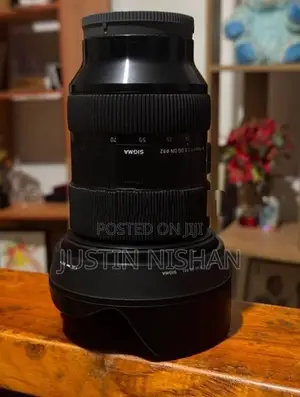Sony Sigma 24-70 Art Lens