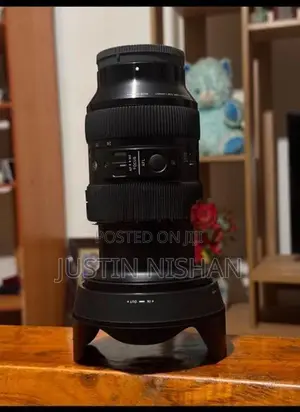 Sony Sigma 24-70 Art Lens
