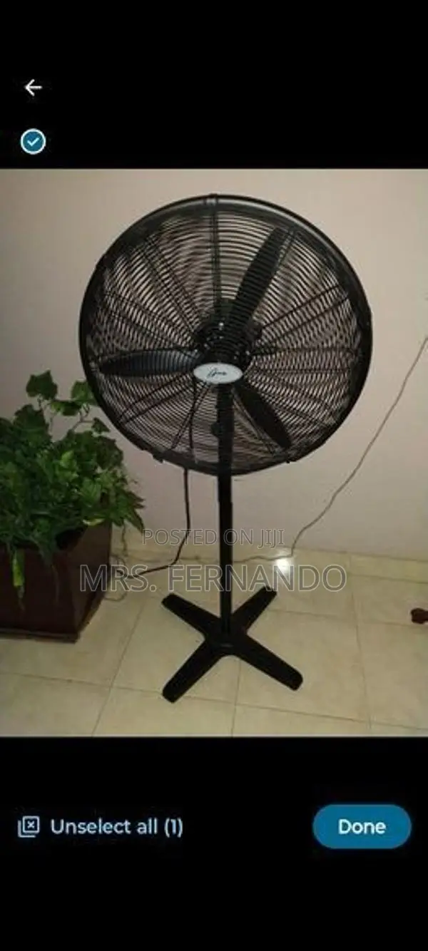 Stand Fans
