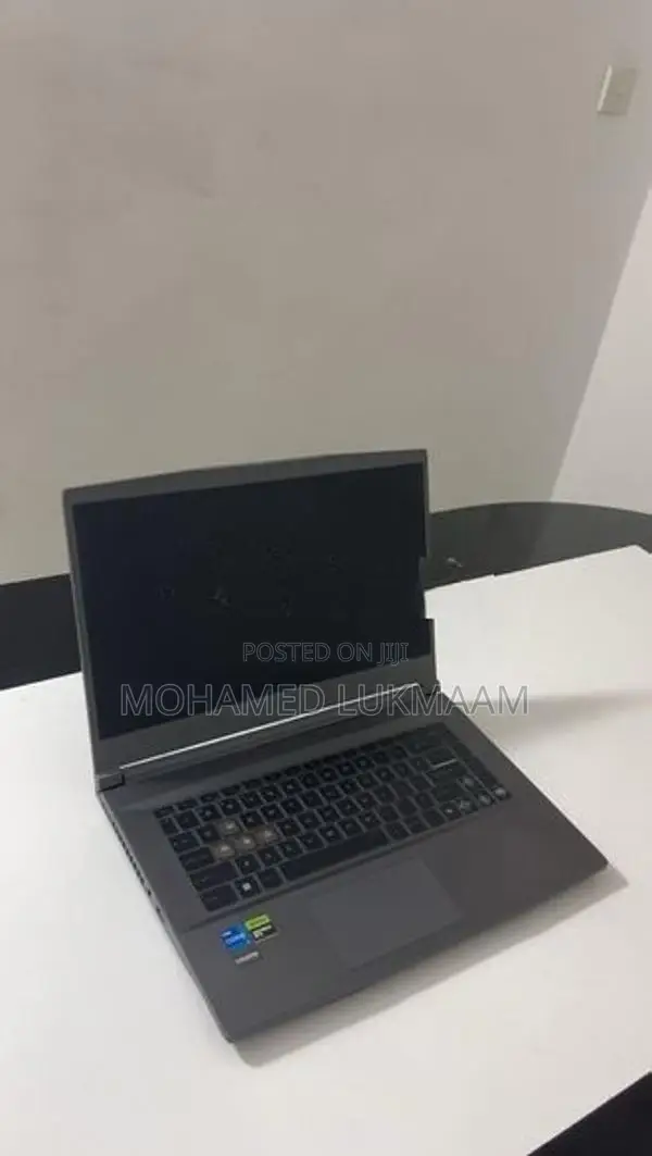 MSI Thin 15 B13UC