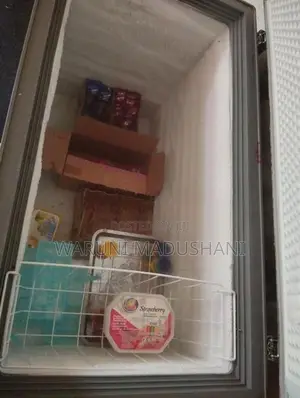 R600a Eco Freezer
