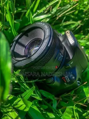 Canon Camera