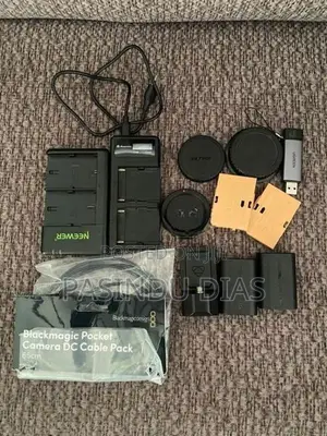 Mirrorless Camera