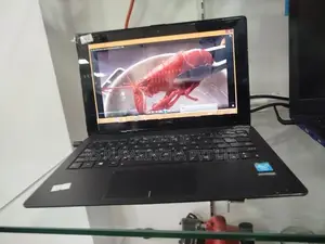 Asus Celeron Laptop