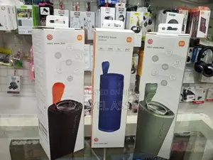 Xiaomi Mi Sound Outdoor 30W Bluetooth Speaker