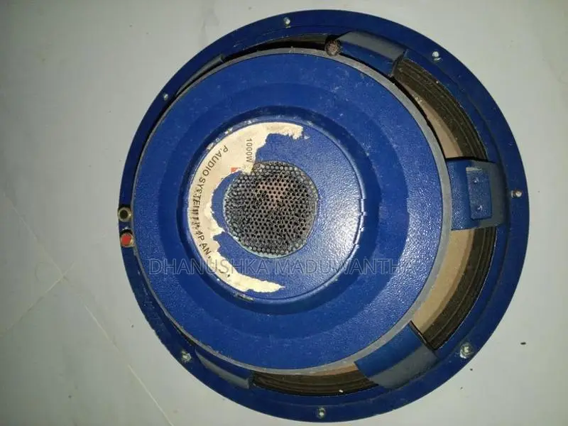 P Audio 2206 Bass Bin Speaker