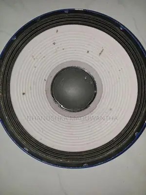 P Audio 2206 Bass Bin Speaker