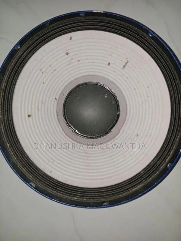 P Audio 2206 Bass Bin Speaker