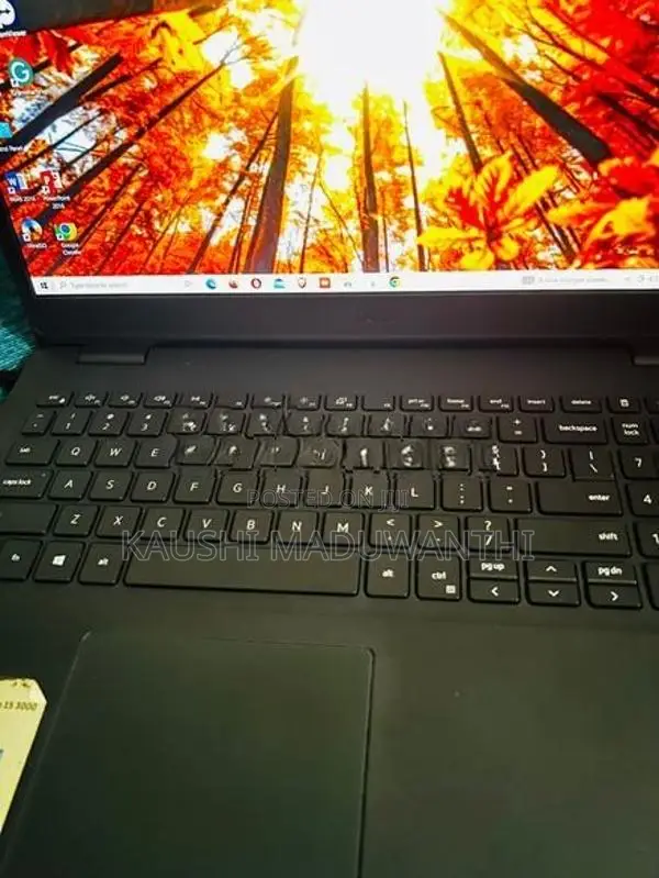 Dell 11th Gen
