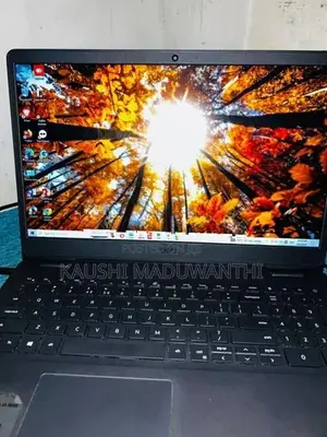 Dell 11th Gen