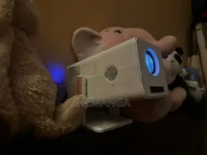 Portable Projector