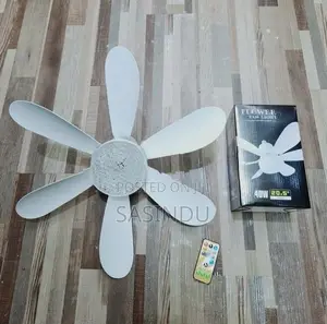 Fan Light