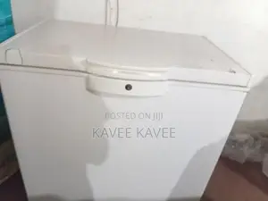 Singer Freezer