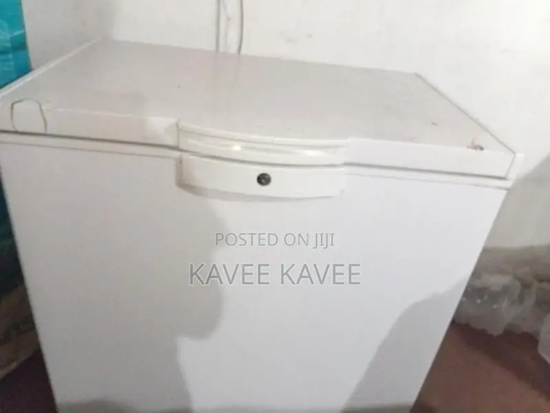 Singer Freezer