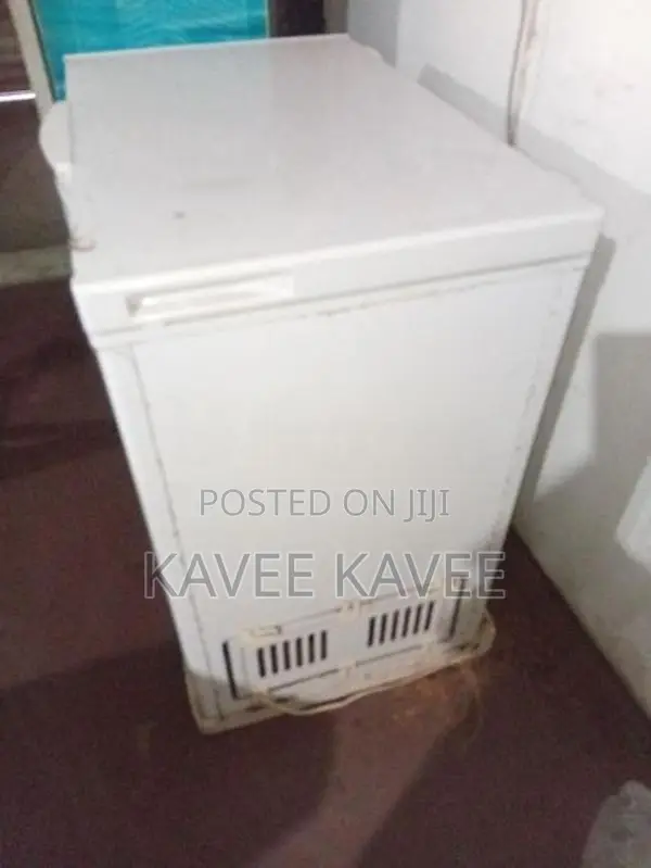 Singer Freezer