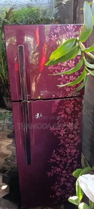 LG Refrigerator 280L